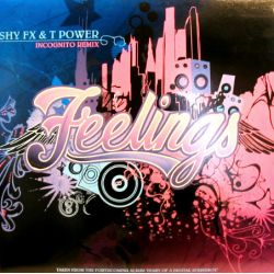Shy FX & T Power ‎- Feelings (Incognito Remix)