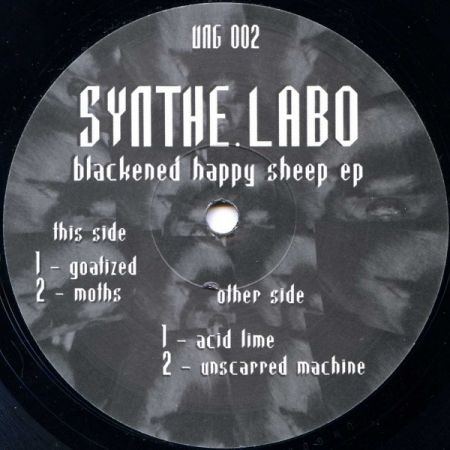 Synthe.Labo ‎- Blackened Happy