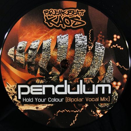 Pendulum - Hold Your Colour