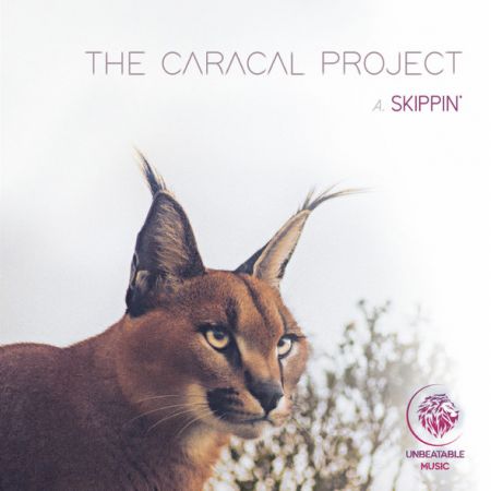 The Caracal Project, Ad Loud -