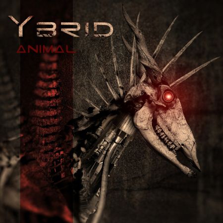 Ybrid - Animal Ybrid - Animal