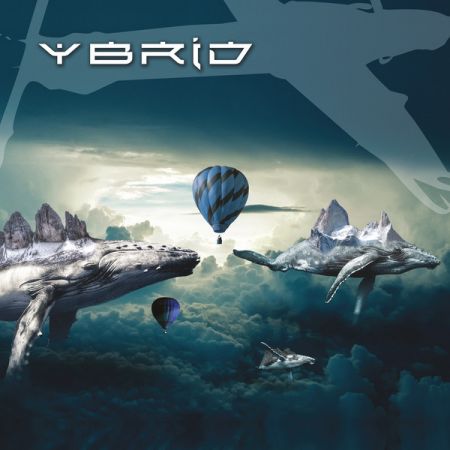 Ybrid - Animal Ybrid - Animal