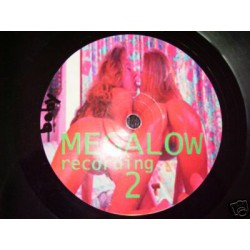 Noisebuilder ‎– Megalow Recording 2