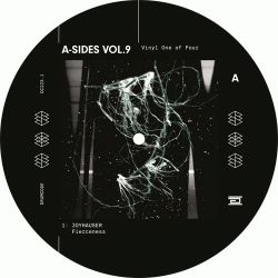 A-Sides Vol. 9 Vinyl One Of Four