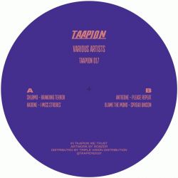 Taapion 17