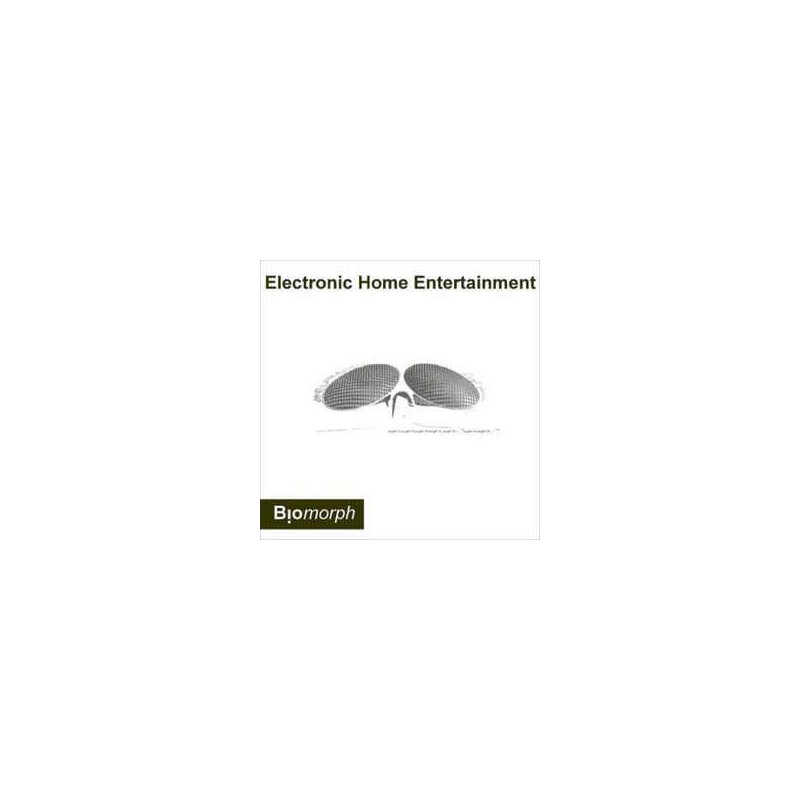 Electronic Home Entertainment Electronic Home Entertainment