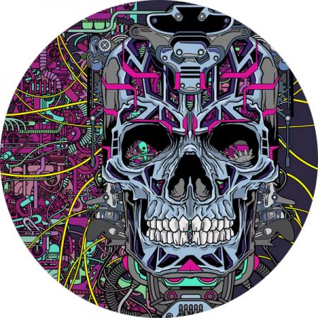 Acid Pirate 17 Acid Pirate 17