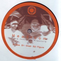 Headroom ‎– Time Inflicted Fracture EP