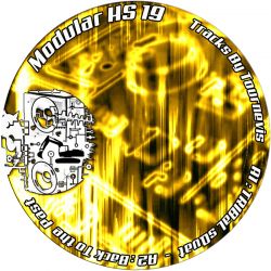 Tournevis - Modular HS19