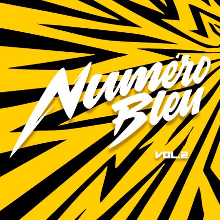 Numéro Bleu vol. 2