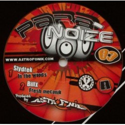 PARA NOIZE 03