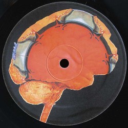 Cyclic Backwash / Ito - Cortex Subduction