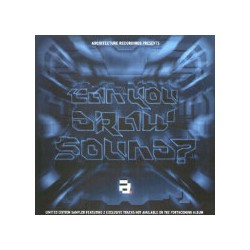 Fifth Element - Can You Draw Sound?