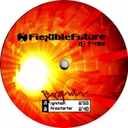 DJ T - Rex - Pyromaniac