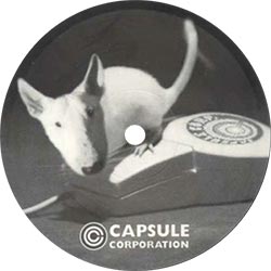 Capsule Corporation - PM5