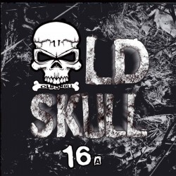 Rhythmstorm / Sagsag23 - Old Skull 16