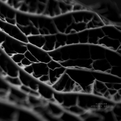Ruhbarb - Amorpha EP Ruhbarb - Amorpha EP