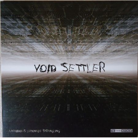 Void Settler / Labyrinth - Void Settler / Labyrinth -