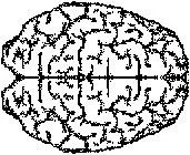 Logo Color Your Brain