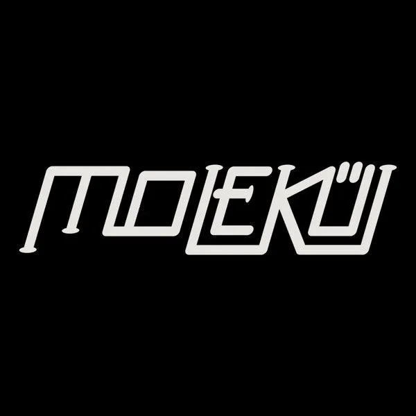 Logo Molekül